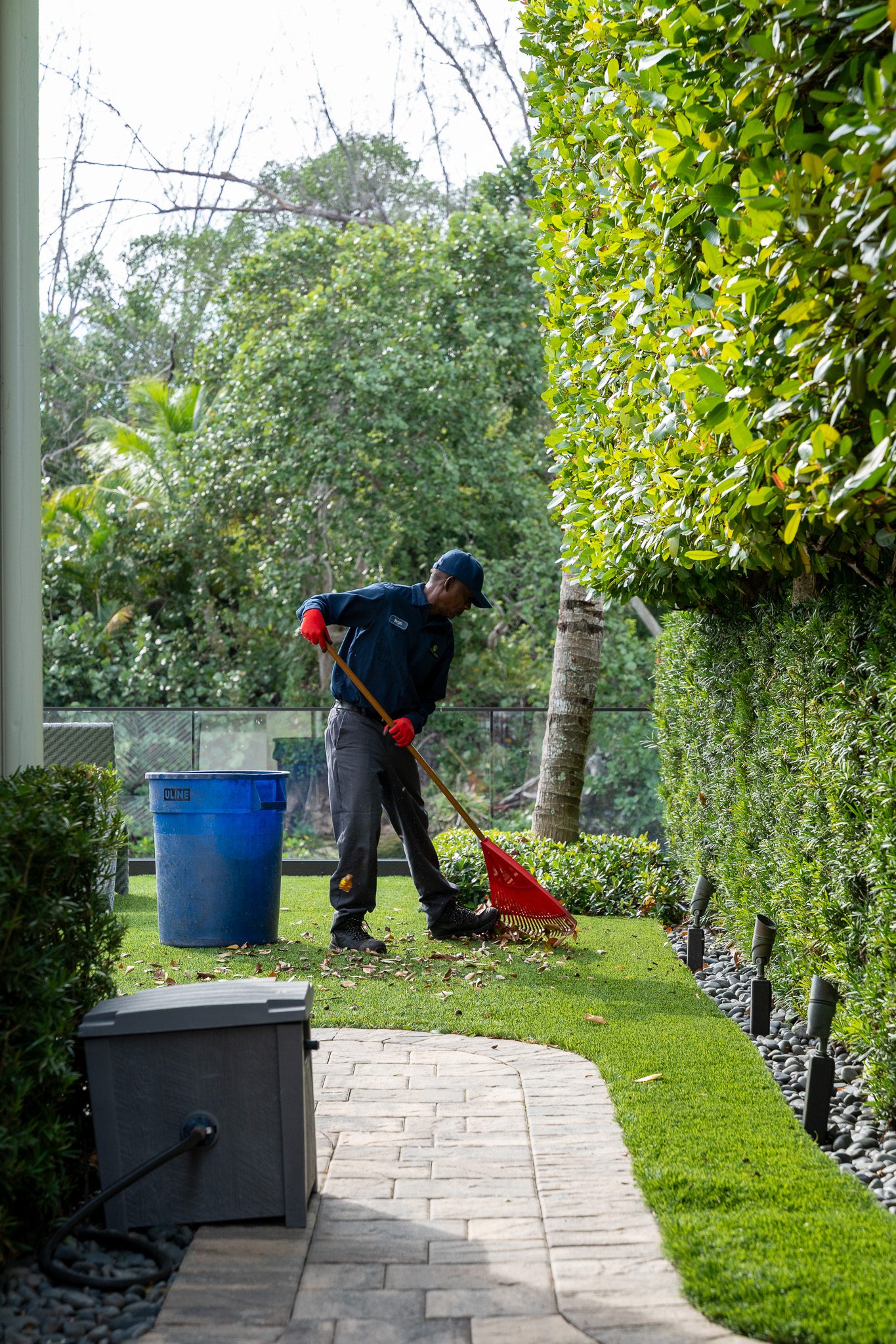 Detailed garden bed and tropical plantings