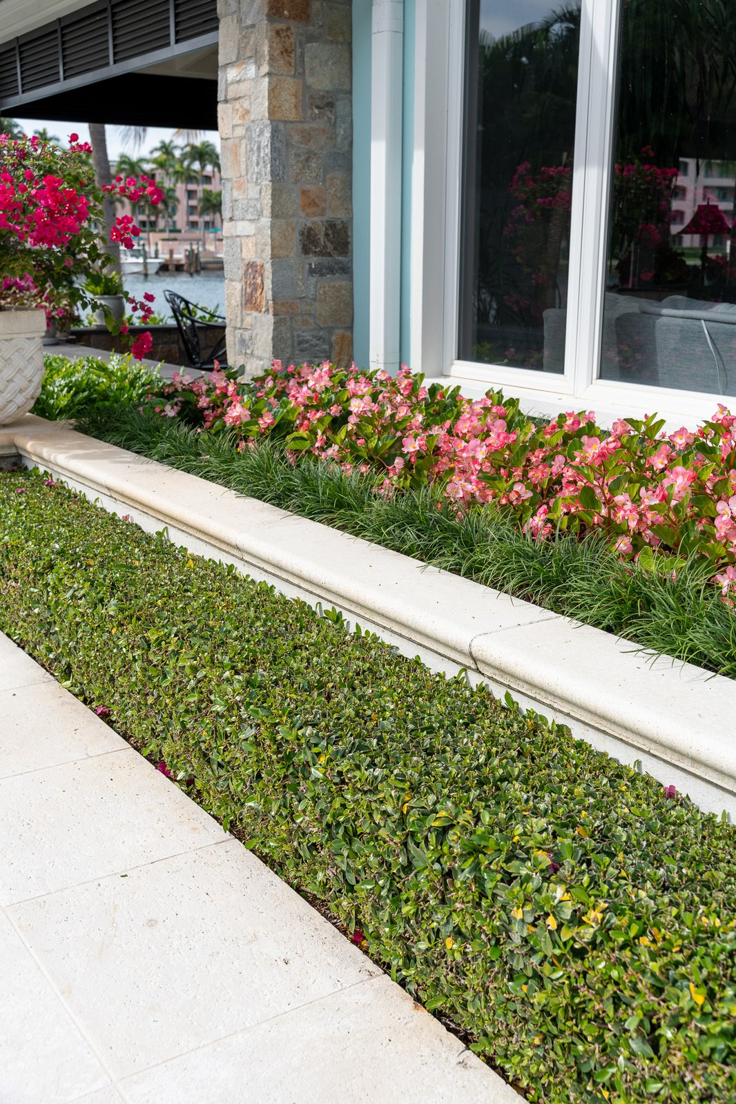 Trimmed hedging and tropical foliage along a walkway