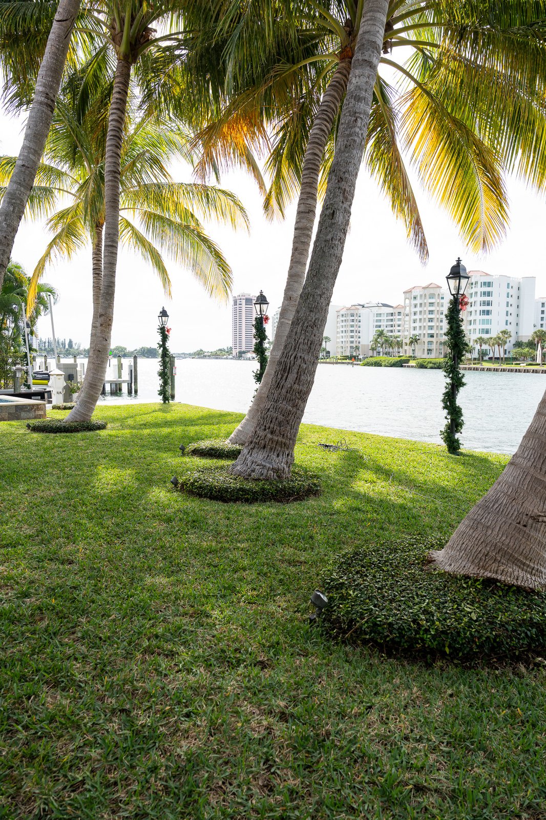 Tropical planting arrangement in a refined landscape bed