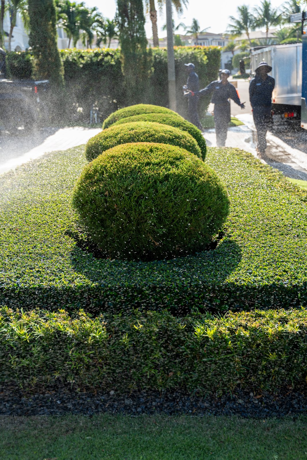 Estate lawn and tropical landscaping in Palm Beach