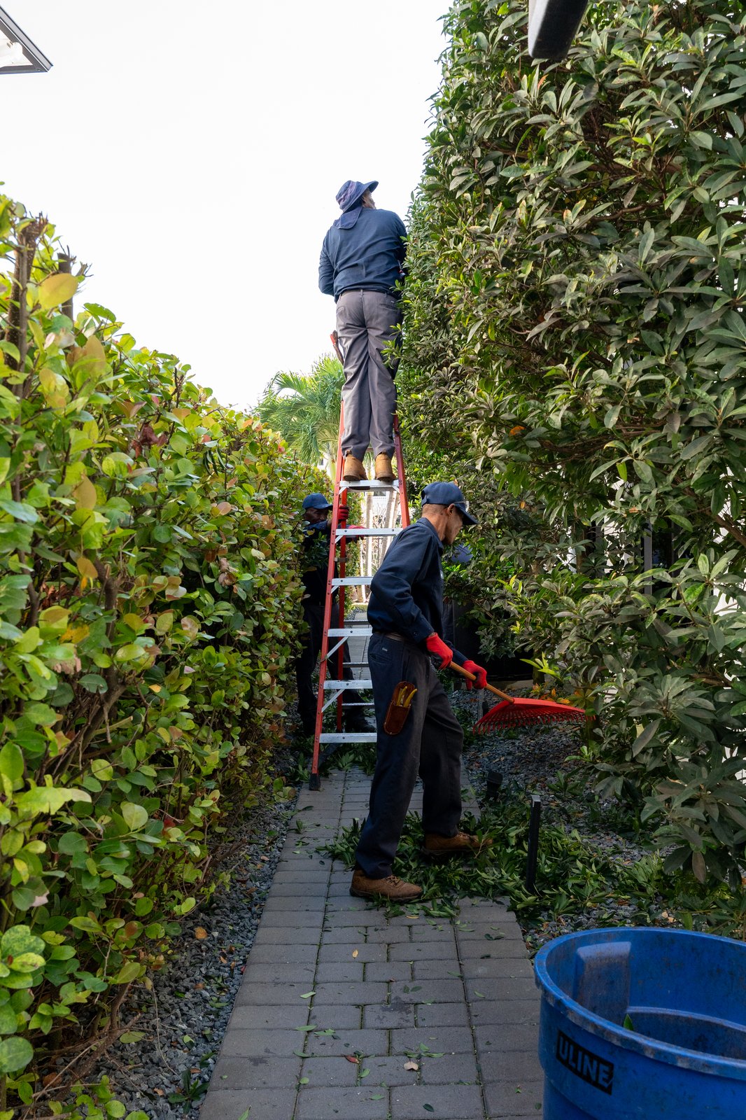 Coastal property entrance with manicured plantings